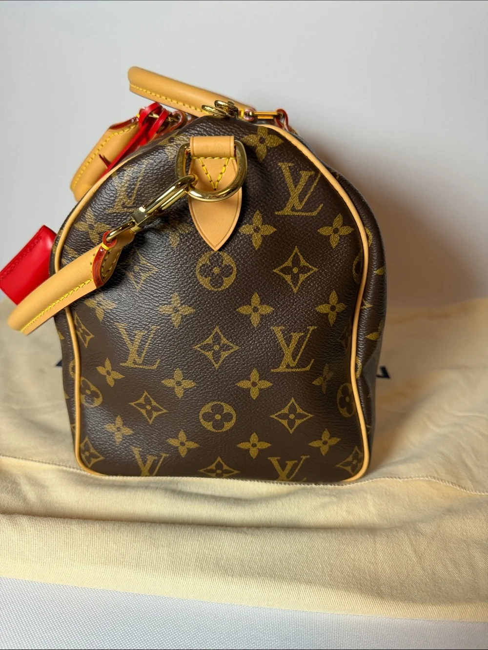 Louis Vuitton Speedy 30 Crafty